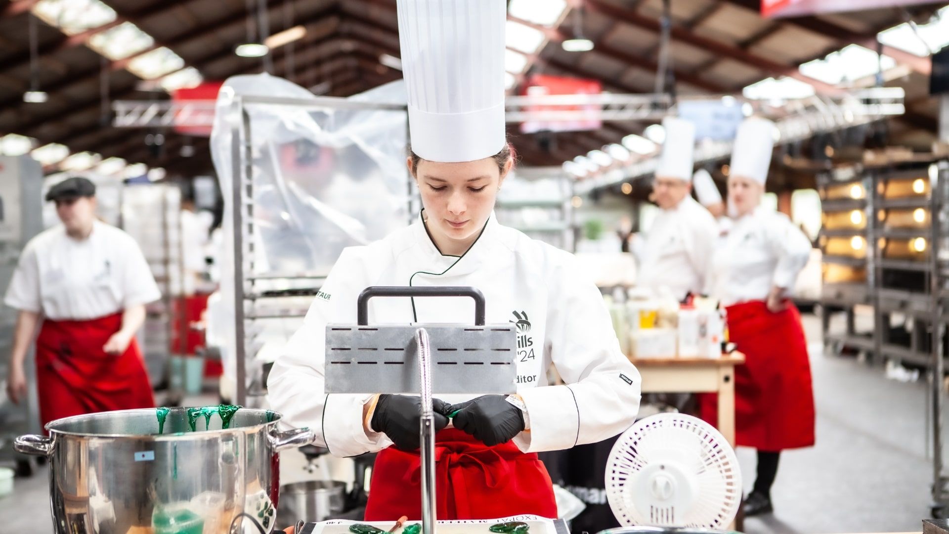 EuroSkills Herning pic 04 euroskills2025com.jpg
