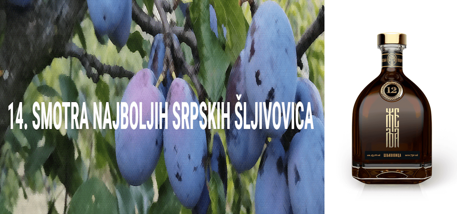 Čačanska prava: Na Smotri šljivovica, ocenjene 83 rakije