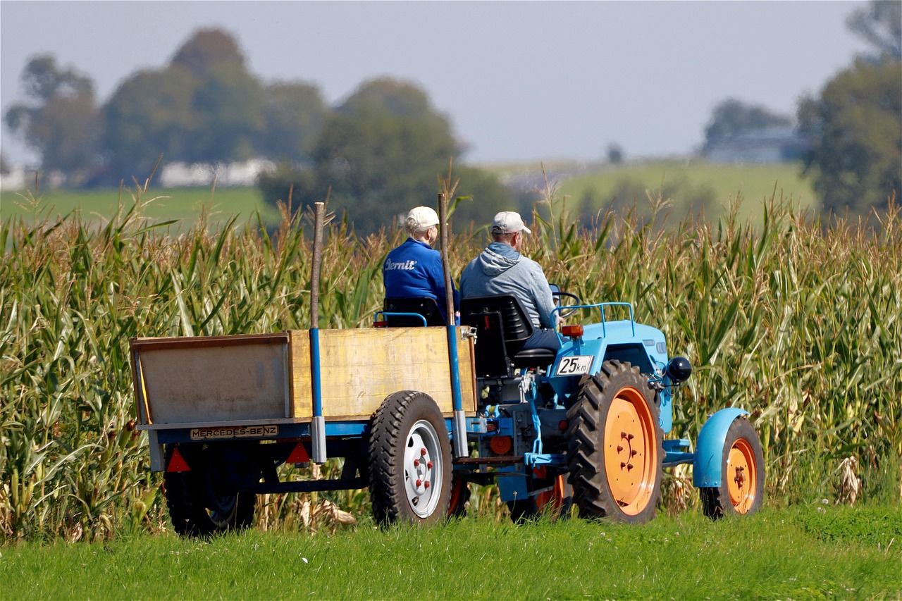 kukuruz hrana traktor poljoprivreda agrar žetva