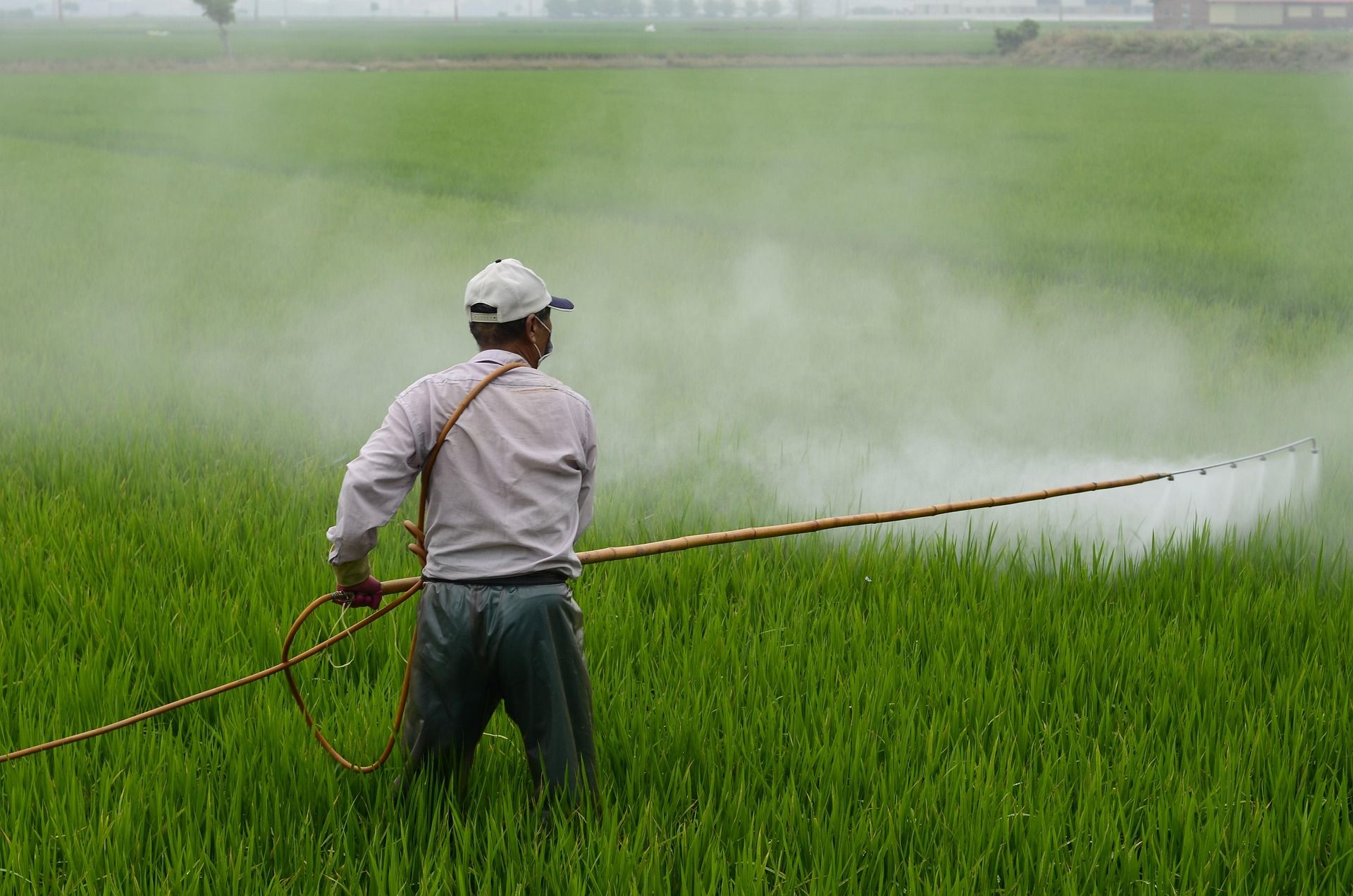Bayer nudi 7,25 milijardi $ za nagodbu zbog kancerogenog herbicida roundup